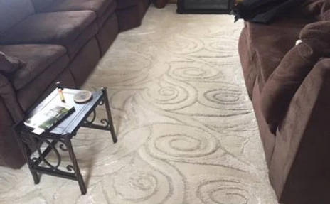 patterned carpet in living rooom